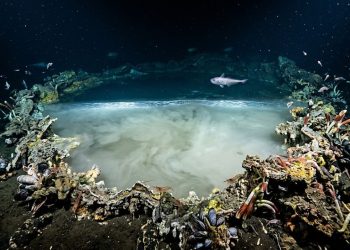 Cientistas descobriram um “lago” no fundo do oceano e o fenômeno está intrigando pesquisadores