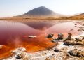 Na Tanzânia, este lago parece um espelho comum, mas sua química transforma animais em estátuas naturais