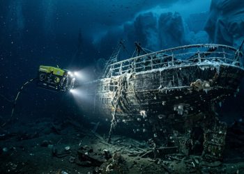 Robô subaquático faz descobertas surpreendentes durante busca por navio naufragado na Antártida