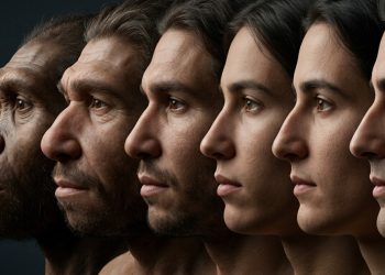Como a agricultura mudou o nariz humano, segundo o DNA