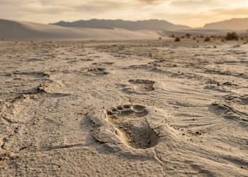 As pegadas humanas preservadas por mais de 20 mil anos que mudaram teorias sobre povoamento