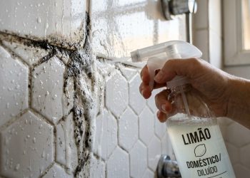 Qual a finalidade de borrifar limão diluído no rejunte do banheiro e por que isso é recomendado?