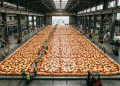 A maior pizza circular já feita no planeta entrou para o Guinness e tinha tamanho inacreditável