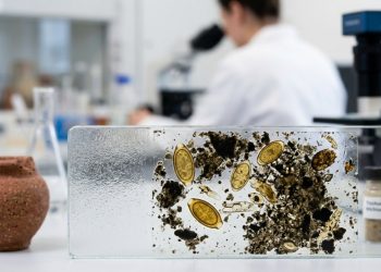 Os restos que cientistas analisaram e mudaram o que se sabia sobre a diarreia na Roma Antiga