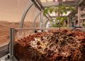 Cientistas querem usar fungos para “cultivar comida em Marte” e a ideia parece saída de ficção científica