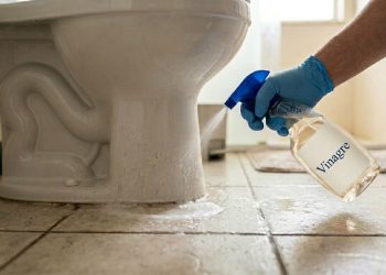 Borrifar vinagre ao redor do vaso sanitário: por que os especialistas recomendam e para que serve