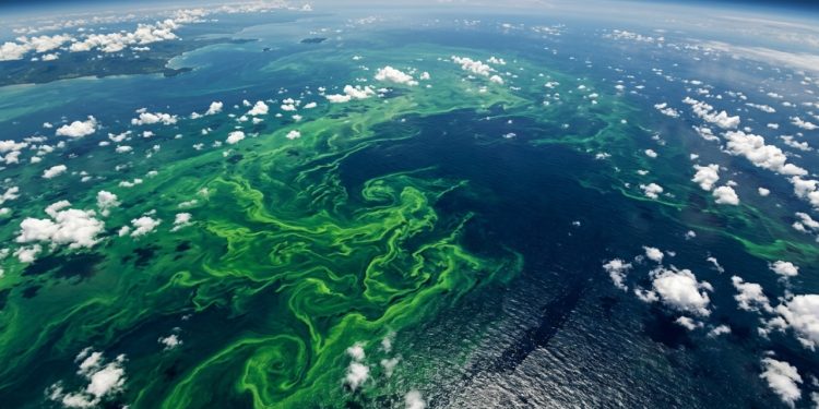Cientistas alertam que 40% das águas dos oceanos estão mudando de cor e que isso pode ser mais preocupante do que parece