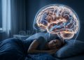 Cientistas descobriram que o cérebro continua “limpando memórias” enquanto você dorme