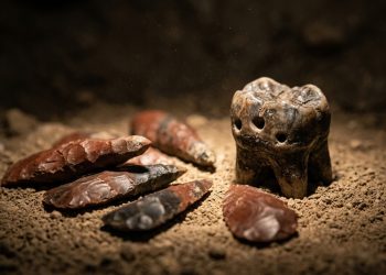 Arqueólogos descobriram ferramentas odontológicas usadas por neandertais há quase 60 mil anos