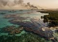 Guerra no Irã ameaça ecossistema raro que pode ajudar cientistas a enfrentar as mudanças climáticas