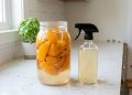 Misturar cascas de laranja com vinagre: quais são os benefícios e por que recomendam contra insetos?