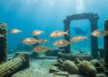 Antigos romanos teriam usado um “peixe alucinógeno” para provocar estados alterados de consciência