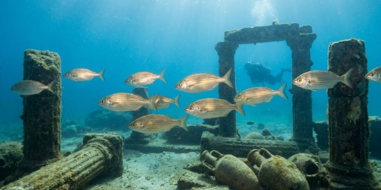 Antigos romanos teriam usado um “peixe alucinógeno” para provocar estados alterados de consciência