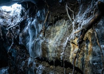 Cientistas descongelam micróbios de 40.000 anos no Alasca e veem organismos antigos voltarem à atividade