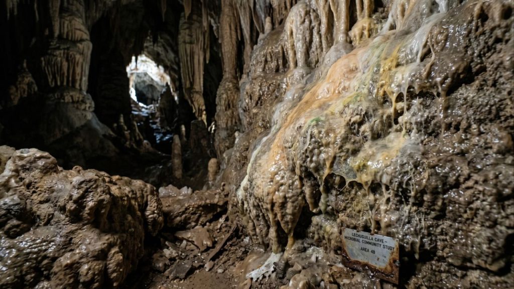 Bactérias das profundezas das cavernas resistem à medicina moderna e agem como predadores invisíveis