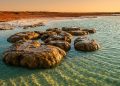 Na costa da Austrália, esta rocha viva cresce em silêncio e revela como micróbios transformam o ar do planeta
