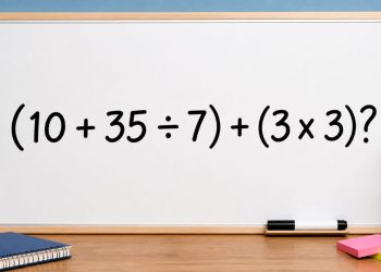 Desafio de matemática: quanto é (10 + 35 ÷ 7) + (3 x 3)?