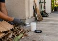 O truque que muita gente começou a usar para afastar centopeias sem inseticidas fortes