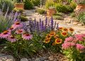 Você nem precisará regá-las: as flores mais lindas para quem quer um jardim exuberante sem manutenção