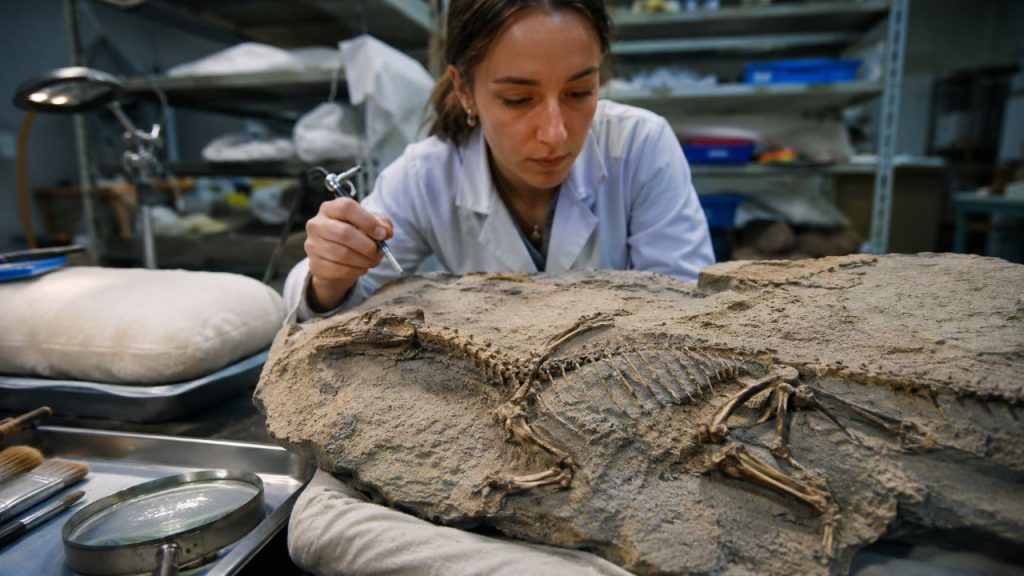 Descoberto dinossauro do tamanho de um cachorro que viveu entre gigantes há 166 milhões de anos
