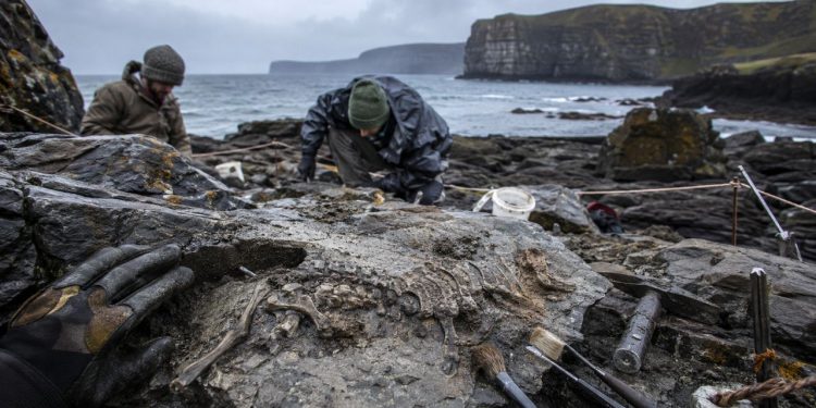 Descoberto dinossauro do tamanho de um cachorro que viveu entre gigantes há 166 milhões de anos