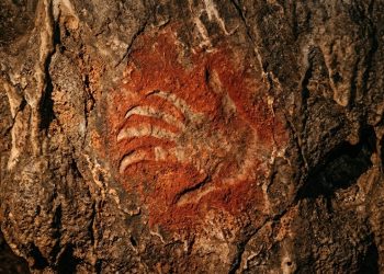 A mão pré-histórica de 67.800 anos que está deixou arqueólogos do mundo inteiro em choque