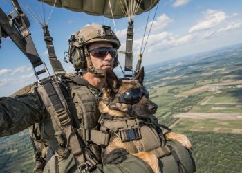 O treinamento impressionante dos cães militares que saltam de paraquedas ao lado de soldados