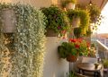 7 plantas suspensas ideais para transformar a varanda em um espaço mais verde, fresco e cheio de cor