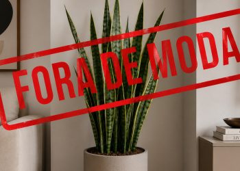 Adeus espada-de-são-jorge: essa planta de folhas brilhantes que quase não precisa de cuidados virou símbolo de praticidade e objeto de desejo em 2026