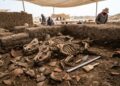 Necrópole de 5.000 anos encontrada no Egito intriga arqueólogos com misterioso sepultamento de javalis
