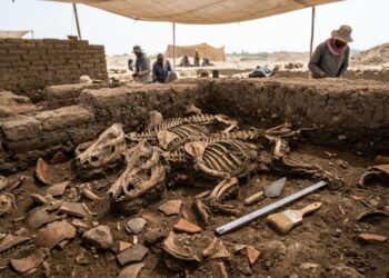 Necrópole de 5.000 anos encontrada no Egito intriga arqueólogos com misterioso sepultamento de javalis
