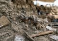 Dentes fossilizados encontrados no Paquistão estão revelando os últimos capítulos de uma dinastia de caçadores esquecidos.