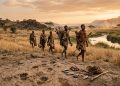 Como o Homo sapiens aprendeu a sobreviver em desertos, florestas e savanas antes de conquistar o mundo