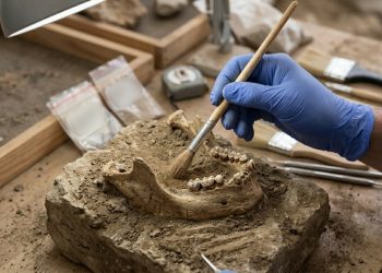 Os neandertais praticavam odontologia há 60.000 anos
