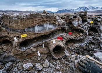 Tocas de esquilos preservadas por 700 mil anos revelam DNA de mamutes e segredos perdidos da Era do Gelo