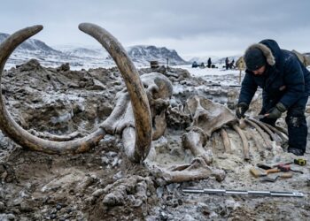 CSI da Era do Gelo: ossos de mamute encontrados na Alemanha revelam um possível abate humano de 15 mil anos