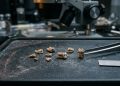 Menores que uma unha, estes dentes de 66 milhões de anos podem abrir a porta para um capítulo perdido da história humana