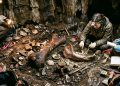 Caverna escondida revela animais gigantes que viveram há 100 mil anos