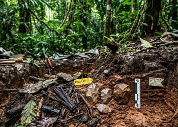 Pesquisadores encontram sinais de vida humana em floresta tropical 80 mil anos antes do recorde anterior