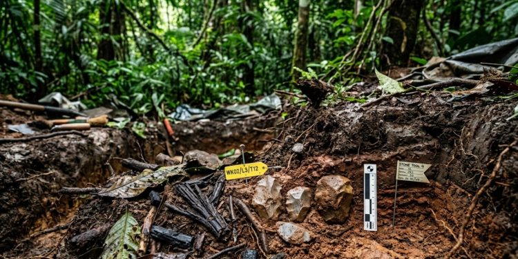 Pesquisadores encontram sinais de vida humana em floresta tropical 80 mil anos antes do recorde anterior