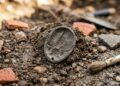 Arqueólogos encontram raro amuleto de trilobita de 450 milhões de anos em sítio romano na Espanha