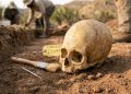 Crânio encontrado no México intrigou cientistas por décadas: afinal, era humano ou extraterrestre?