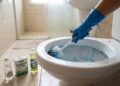 Especialistas revelam os 6 produtos domésticos que facilitam a limpeza do vaso sanitário sem químicos agressivos
