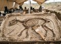 Esqueleto de filhote de anta com 4 milhões de anos é o mais completo já encontrado na Europa e revela um mundo perdido.