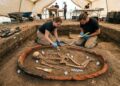 Crânio fraturado, ritual misterioso e um forno: arqueólogos tentam desvendar um possível crime de 4.500 anos