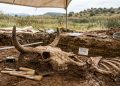 Gigantes pré-históricos encontrados na Espanha podem mudar a história da evolução animal
