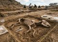 Animal que viveu há 4 milhões de anos ressurge em uma das descobertas mais importantes do ano