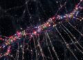 Astrônomos descobrem a maior teia de galáxias já vista no Universo próximo