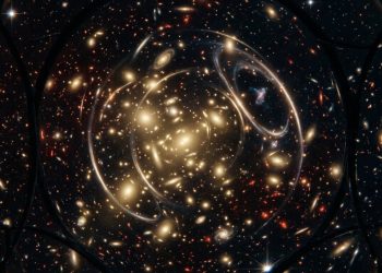 Será possível iniciar a vida humana fora da Terra? Um experimento inédito acaba de começar em órbita.