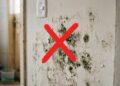 A tinta antimofo caseira que virou febre em 2026 promete bloquear a umidade antes que ela destrua suas paredes